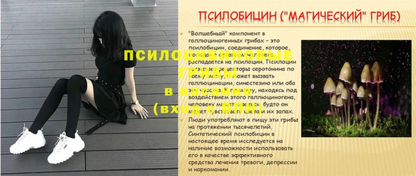 МДМА Заводоуковск